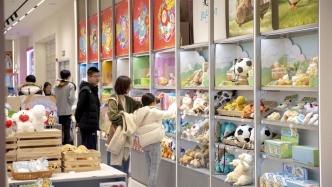 上海消保委調查二次元消費：手辦與卡牌受歡迎，悅己和社交是動力
