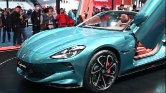 內行看門道，外國經銷商們來上海車展看什么？