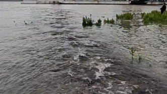 岳阳一管道疑似有黑水直排东洞庭湖，生态环境局：已赶往现场核查