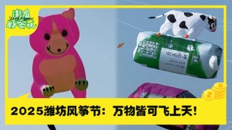 2025潍坊风筝节：抬头看，万物皆可飞上天！｜澎友好会花