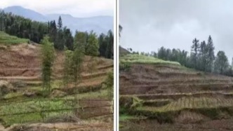 貴州赤水被指“整改復耕”存形式主義，當地部署耕地流出整改“回頭看”