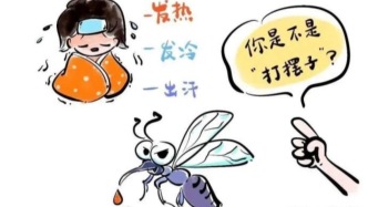 全國瘧疾日丨嚴防輸入再傳播，鞏固消除瘧疾成果