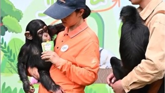 上海野生動(dòng)物園“五一萌寶大聚會(huì)”，除了黑猩猩叮叮還有更多小伙伴
