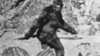 异域拾异｜大脚怪的形状：一项神秘社会学研究