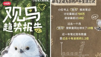《小紅書觀鳥趨勢報告》發布：搜索量增長19倍，年輕人愛上“抬頭觀鳥”