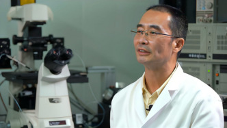 大學2025丨專訪南開人工智能學院院長趙新：人工智能未來會變成通識類課程