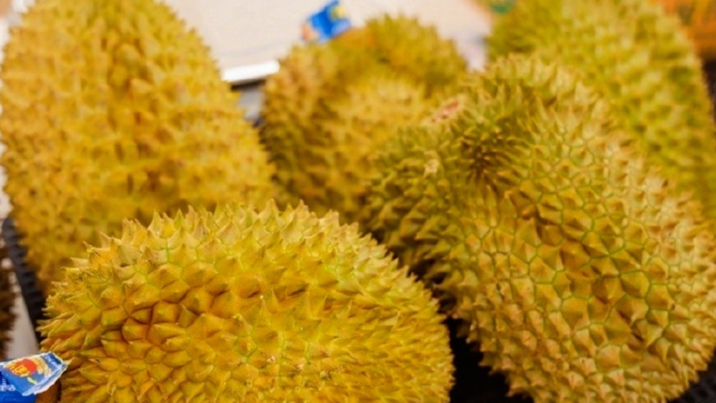 新一年的 “榴蓮季”來啦!超50噸海運(yùn)泰國(guó)榴蓮運(yùn)抵廣州