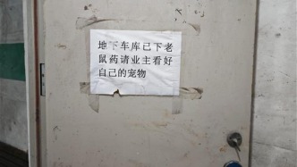 流浪貓給車主造成困擾，長春一小區擬投藥應對？律師：此舉欠妥