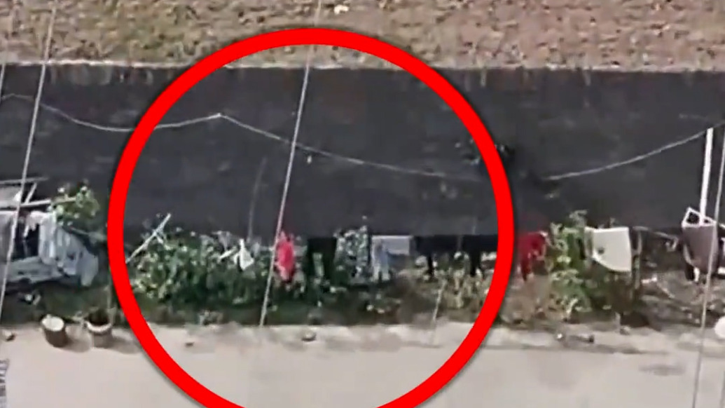 大爷听信偏方误种罂粟，民警上门拔除并普法