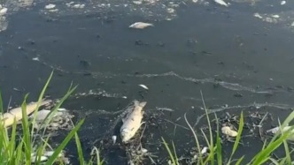 湖南华容县通报“大垱湖水质受污染”，爆料者：现场已在灌清水