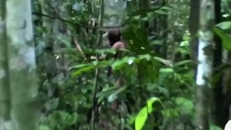 世界上最孤獨(dú)的人：亞馬遜原始部落被滅族僅剩1人，孤獨(dú)隱居26年
