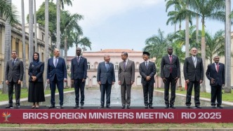 王毅：携手做世界和平与发展事业的中流砥柱