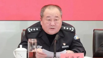 中央巡視組入駐后，安徽省公安廳副廳長劉海石主動投案