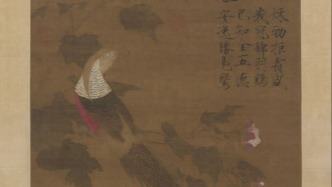 宋徽宗《芙蓉锦鸡图》亮相，故宫首展历代动物绘画