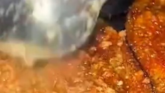 網友反映燒烤攤坐地起價，張家界武陵源區：停業整頓，賠禮道歉