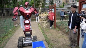 成都一高校油菜丰收，机器人、机器狗加入抢收队伍