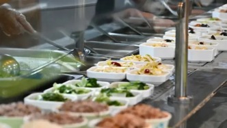 邀你過“五一”：多地政府大院可停車、機關食堂能就餐