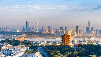 武漢樓市新政：二孩、三孩家庭購買新房可分別享受6萬元、12萬元購房補貼