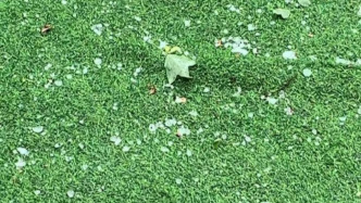 北部艳阳高照、南部下冰雹，五一长假首日上海天气很“热闹”