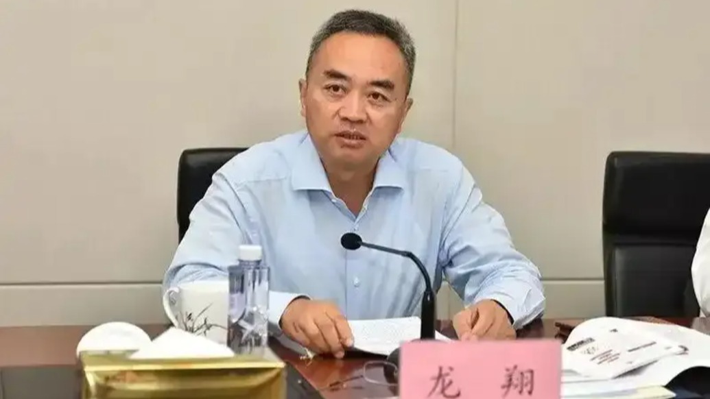 副部級龍翔被撤職