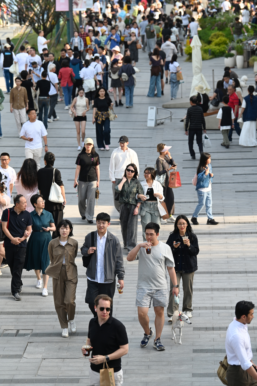魔都眼｜西岸国际咖啡生活节：连接艺术、音乐与宠物