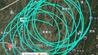 天津航空一航班盘旋14圈才降落，客服：因天气影响