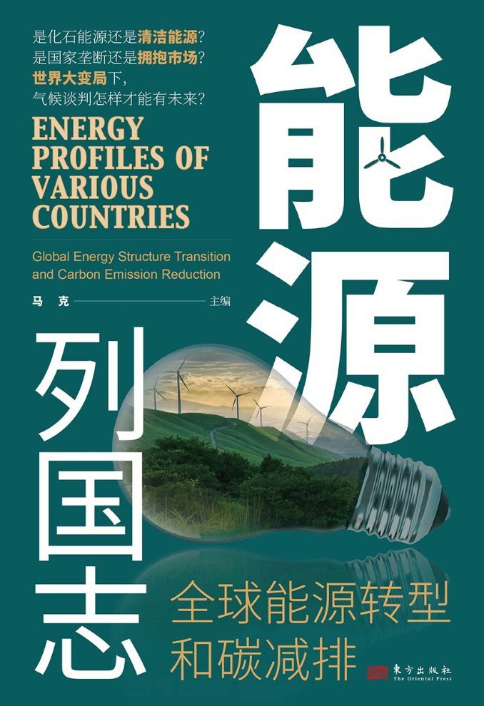 市场驱动的系统改造：丹麦零弃风经验研究