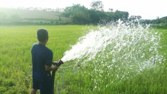 广西科学调度保障春灌面积1373.53万亩