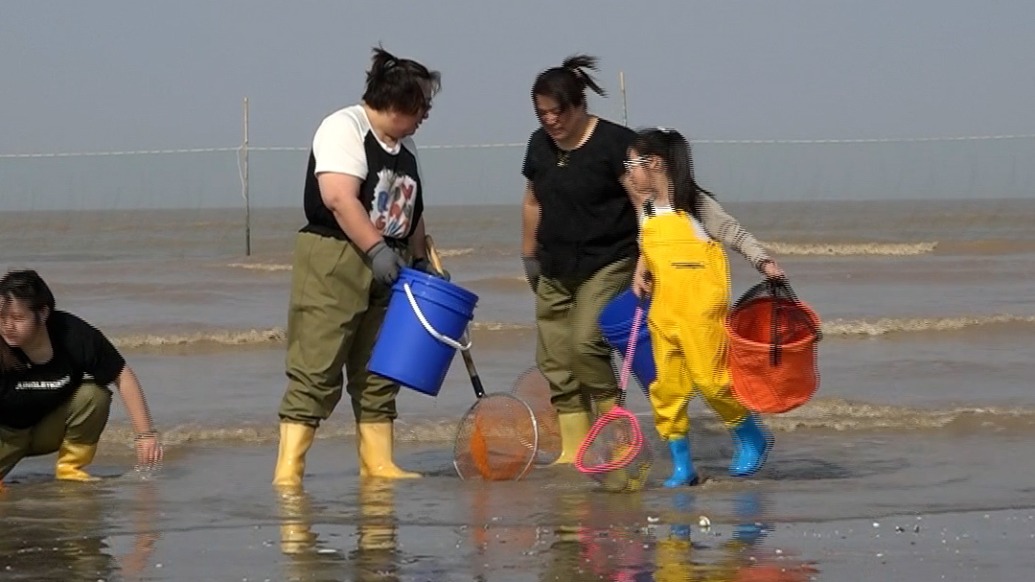 挖蛤蜊逮海魚抓小蟹,鹽城射陽五一趕海樂