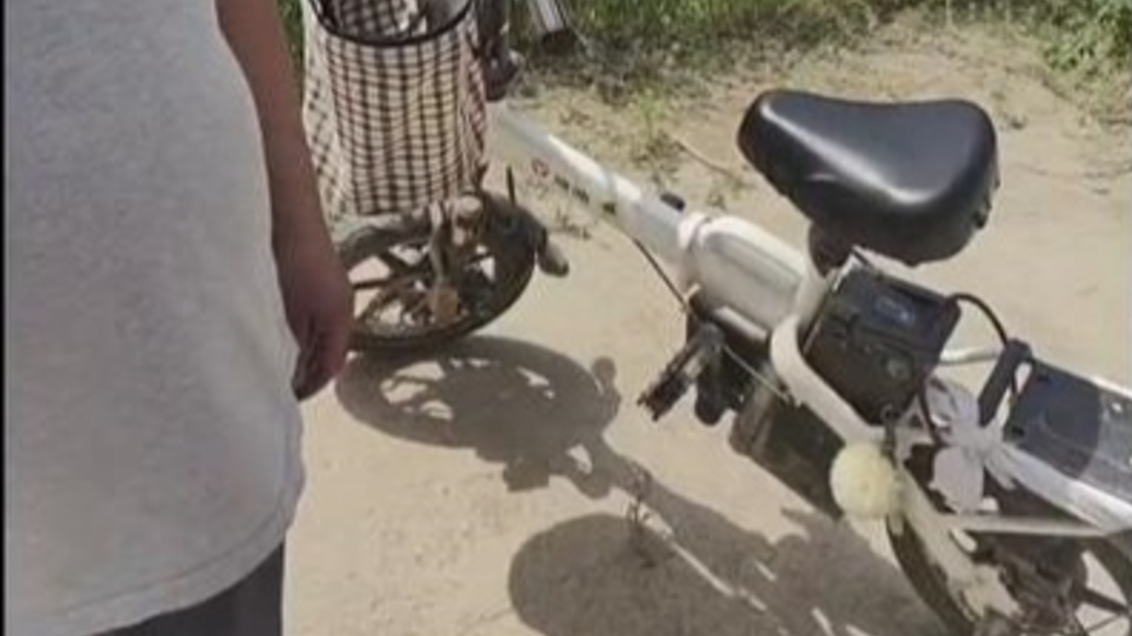 新社區(qū)，新生活，游玩走進(jìn)鳳凰樹社區(qū)