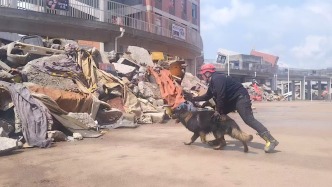 国内外数十支搜救犬队伍齐聚三明，进行废墟搜救等实战