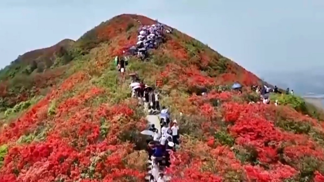 2025年“五一”假期国内出游3.14亿人次