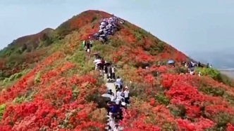 2025年“五一”假期國內(nèi)出游3.14億人次