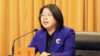 江蘇省泰州市委常委、宣傳部部長劉霞接受審查調查
