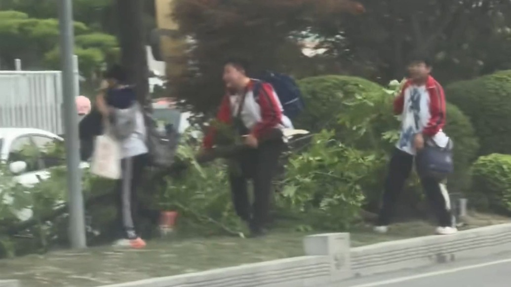 大風(fēng)刮斷樹(shù)枝擋路，3名小學(xué)生合力拖拽至綠化帶