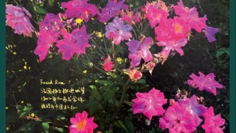 陳丹燕：赤龍含珠