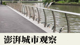 “愛鳥周”為何不能像F1和花展那樣“市區聯動”