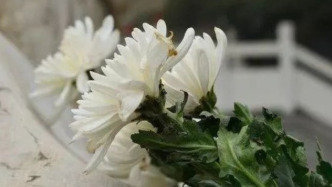 44岁街舞运动推广者、浙江省街舞运动协会常务理事钟永玮离世