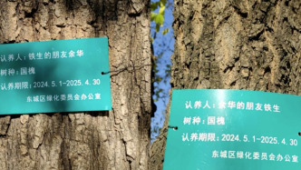 网友喊话余华“你和史铁生的树”该续费了？余华回应