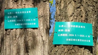 马上评｜比余华与史铁生的友情更动人的是什么