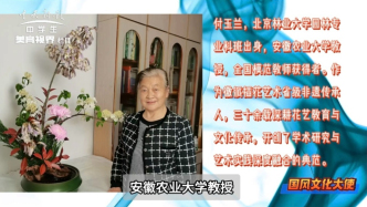 国风文化人物：徽派花艺传承人付玉兰