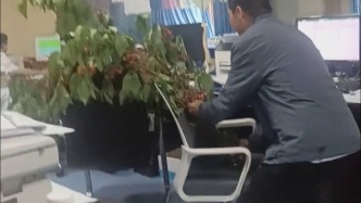 “這樣最新鮮”，病人家屬帶著自家種的櫻桃樹枝送醫生感謝照顧