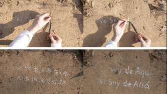 科学与艺术的跨界对话可能吗？——评“以蚁为序的生命网络”