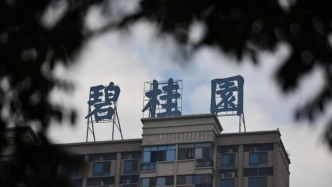 碧桂园：砸锅卖铁保交房、持续推进保主体，尽快让公司恢复正常经营
