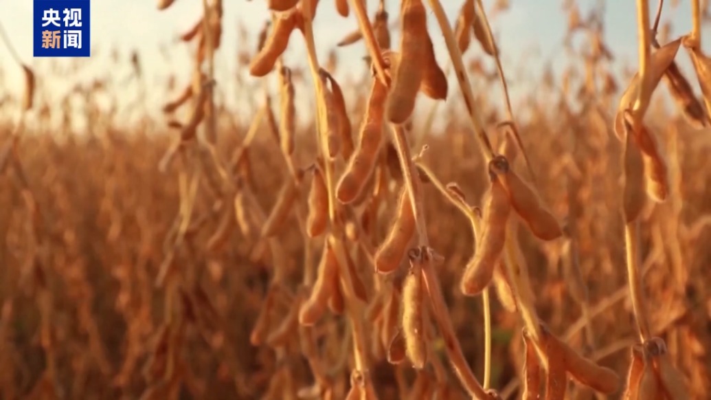 出口受阻、被迫涨价……特朗普关税冲击美国农业