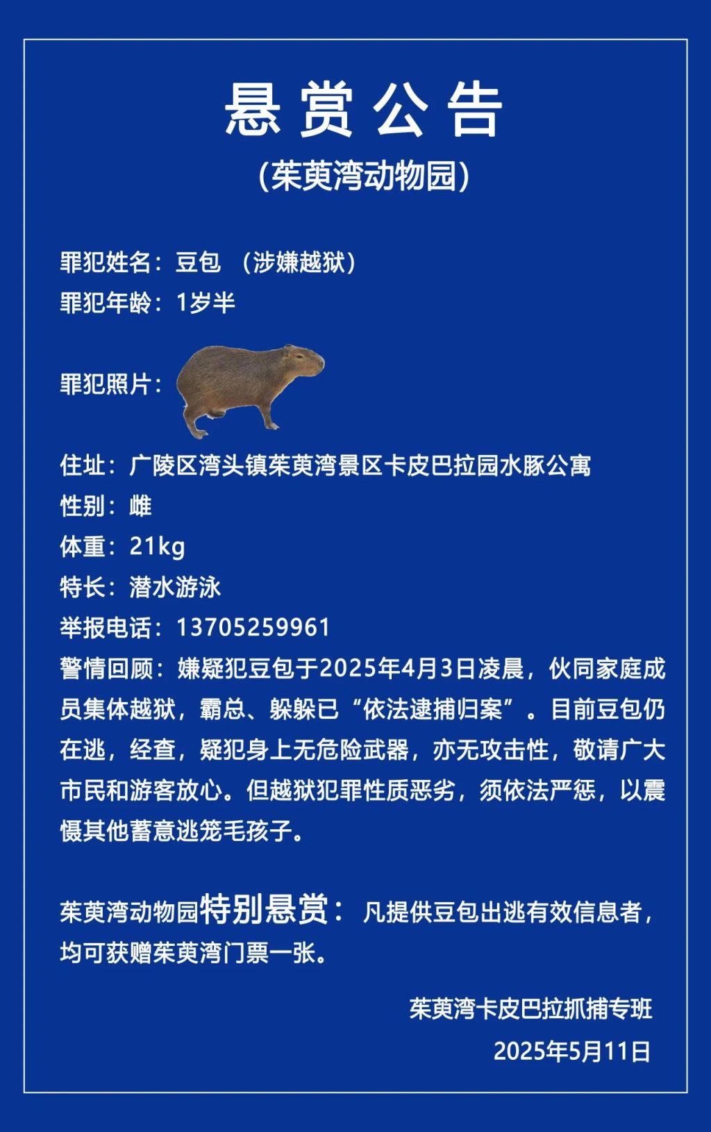 水豚出逃40天至今未归，江苏扬州一动物园发悬赏公告