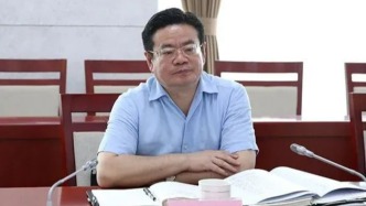 张效廉被决定逮捕，曾被批“官迷心窍、利令智昏”