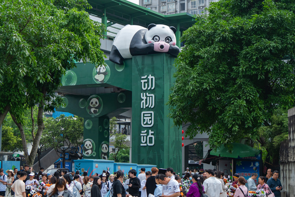 城事 | 重庆新增热门打卡地标，首座熊猫主题轨交站亮相