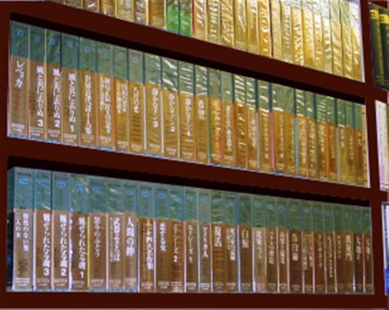 文学如何遭遇世界：日本“世界文学”的半个世纪