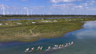 生态环境保护督察工作条例对督察对象和内容作了哪些规定？有关负责人答问